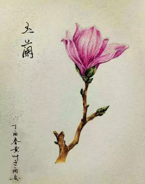 1491474735848244Gz76.png QQͼƬ20170406183205.png